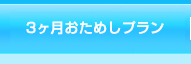 3ヶ月おためしプラン
